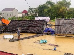 Đọc nhanh bài viết 1190589