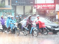 Đọc nhanh bài viết 1190610