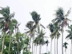 Đọc nhanh bài viết 1190980