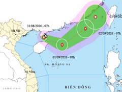 Đọc nhanh bài viết 1191124