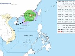 Đọc nhanh bài viết 1191231