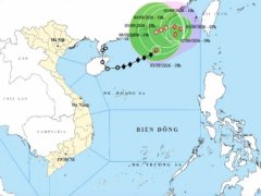 Đọc nhanh bài viết 1191261