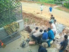 Đọc nhanh bài viết 1191636