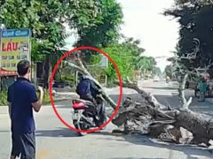 Đọc nhanh bài viết 1192065
