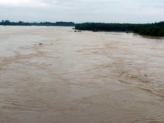 Đọc nhanh bài viết 1192419