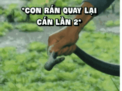 Đọc nhanh bài viết 1192670
