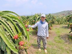 Đọc nhanh bài viết 1192713