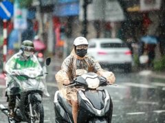 Đọc nhanh bài viết 1192754