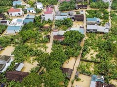 Đọc nhanh bài viết 1192799