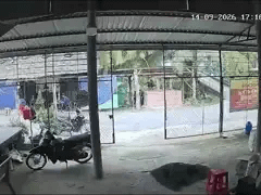 Đọc nhanh bài viết 1192916