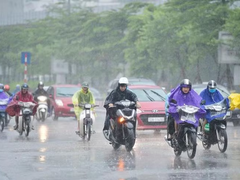 Đọc nhanh bài viết 1192983