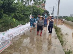 Đọc nhanh bài viết 1193048