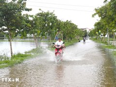 Đọc nhanh bài viết 1193267