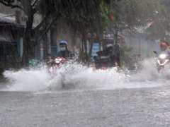Đọc nhanh bài viết 1193388