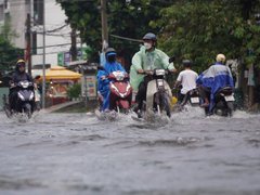 Đọc nhanh bài viết 1193531