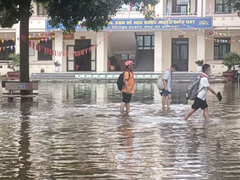 Đọc nhanh bài viết 1193628