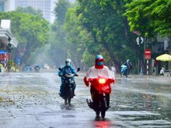 Đọc nhanh bài viết 1193788