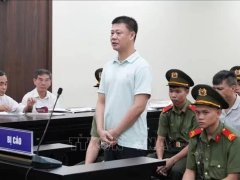 Đọc nhanh bài viết 1194143