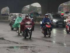 Đọc nhanh bài viết 1194269