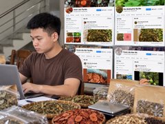 Đọc nhanh bài viết #1194283