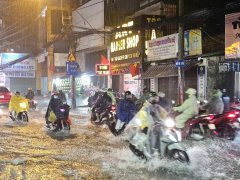 Đọc nhanh bài viết 1194482