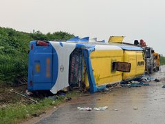 Đọc nhanh bài viết 1194562