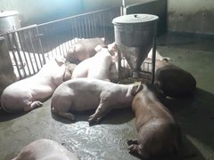 Đọc nhanh bài viết 1194689
