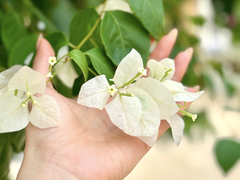 Đọc nhanh bài viết 1194737
