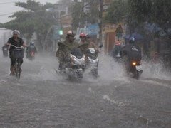 Đọc nhanh bài viết 1194774