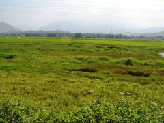 Đọc nhanh bài viết 1194878