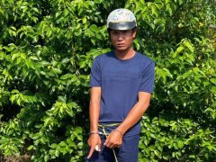 Đọc nhanh bài viết 1194975