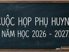 Đọc nhanh bài viết 1195095