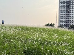 Đọc nhanh bài viết 1195115