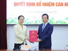 Đọc nhanh bài viết 1195187
