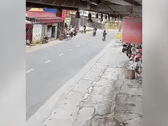 Đọc nhanh bài viết 1195410