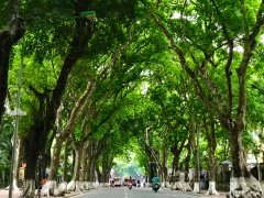 Đọc nhanh bài viết 1195493