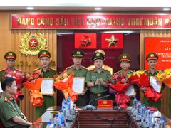 Đọc nhanh bài viết 1195596