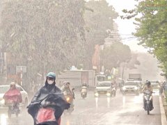 Đọc nhanh bài viết 1195692