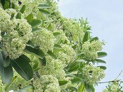 Đọc nhanh bài viết 1195757