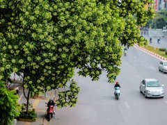 Đọc nhanh bài viết 1195768