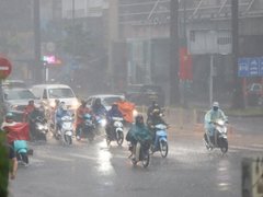 Đọc nhanh bài viết 1195896