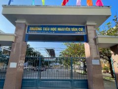 Đọc nhanh bài viết 1195897