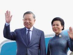 Đọc nhanh bài viết 1195921