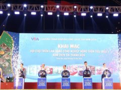 Đọc nhanh bài viết 1196024