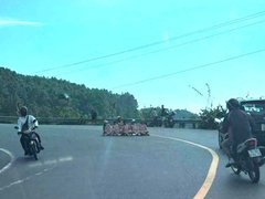 Đọc nhanh bài viết 1196095