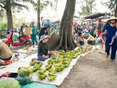 Đọc nhanh bài viết 1196152