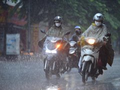 Đọc nhanh bài viết 1196194