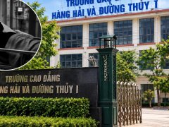 Đọc nhanh bài viết 1196460