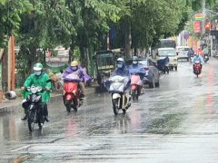 Đọc nhanh bài viết 1196580