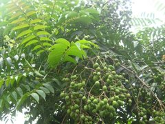 Đọc nhanh bài viết 1196611